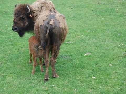 CSC_0151 [50%] [50%].JPG